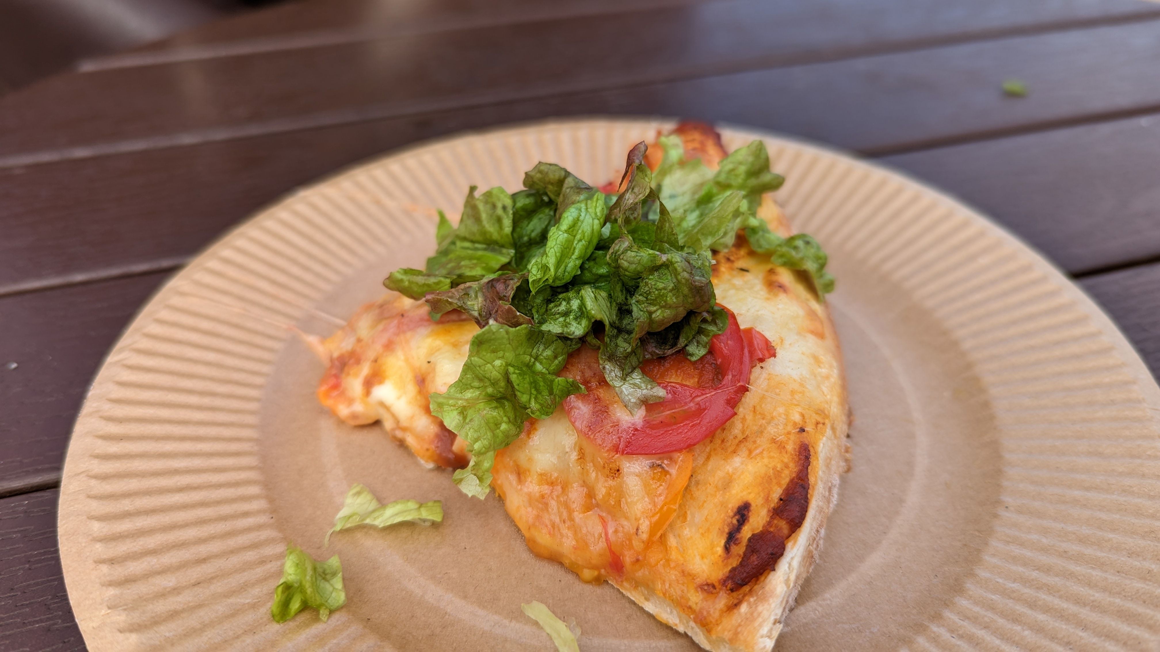 公園のピザ窯で作られた、無料配布石窯ピザ。生地がもちもちでトマトも甘く美味い！