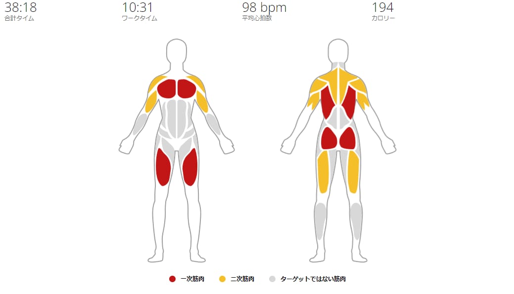 種目から効く筋肉も視覚化される