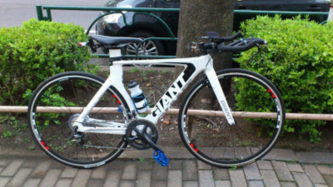 Trinity composite 1 購入記