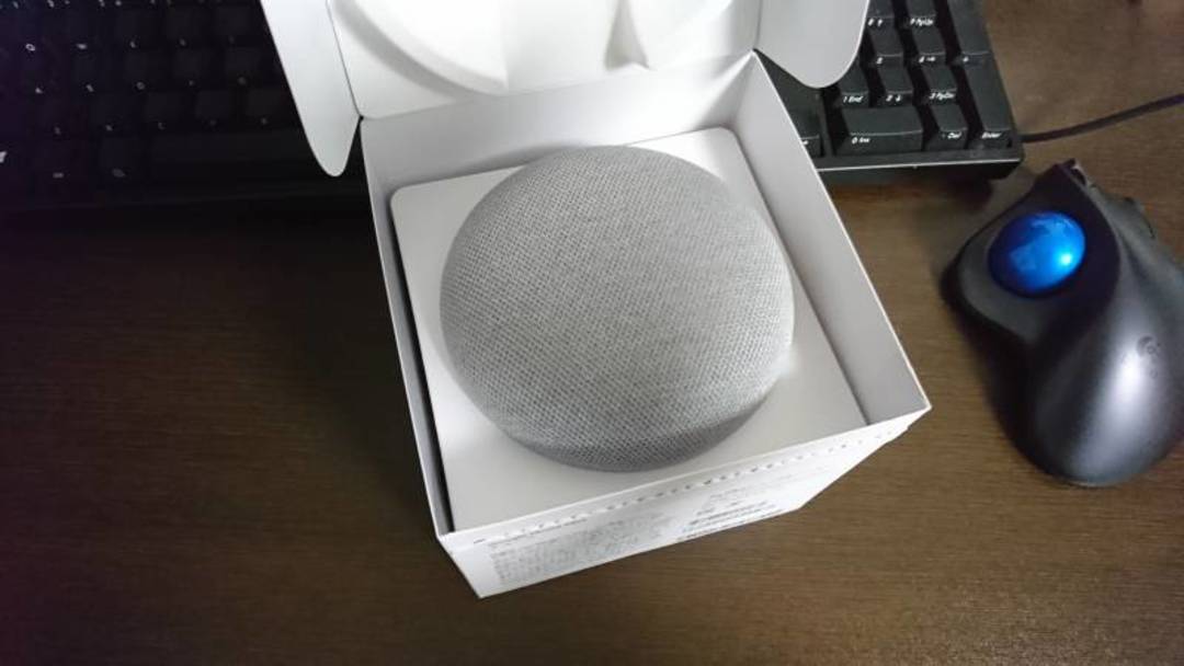 Google Homeでハンズフリーローラー生活！