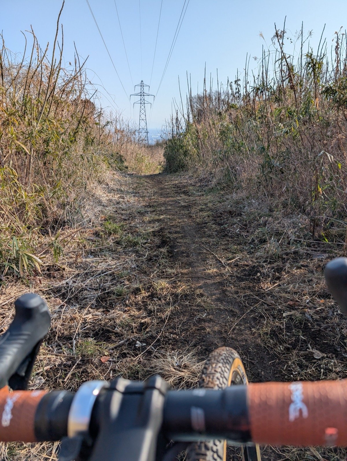 フラットダートからトレイルまでカバーする地元コース