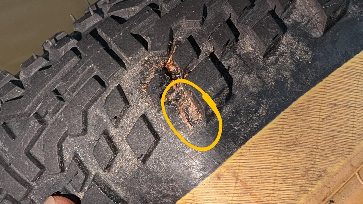 貫通部分はサイドではなかった