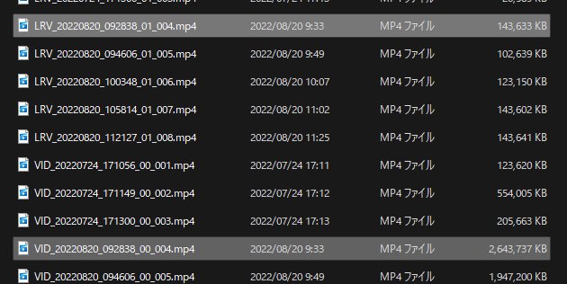 同一動画を2サイズでMP4に落としている