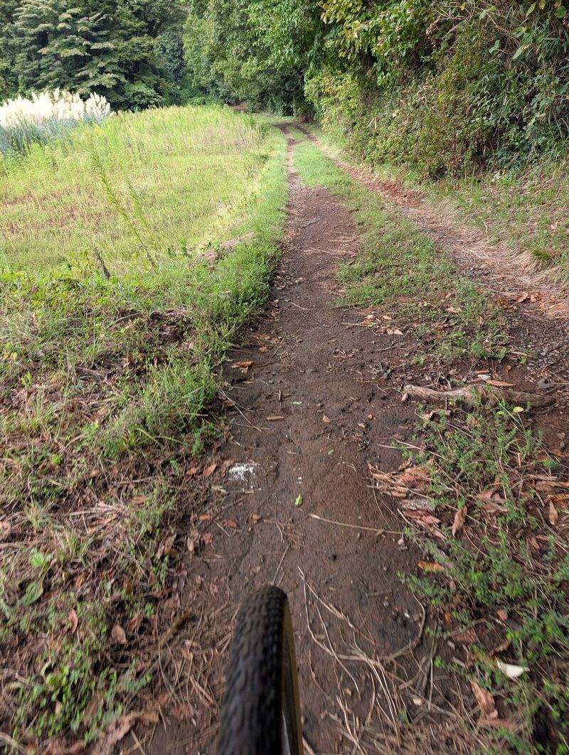 西湘・秦野エリアのグラベルで追い込んで走ってみた