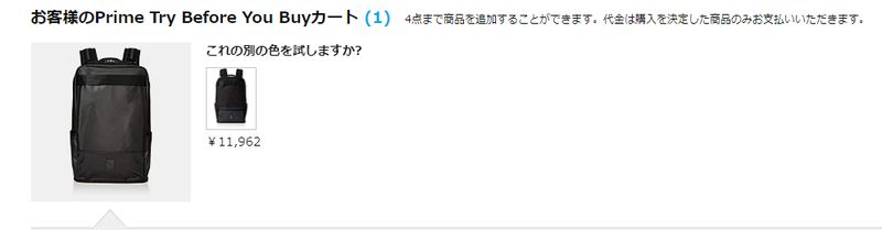 専用のショッピングカート画面になる