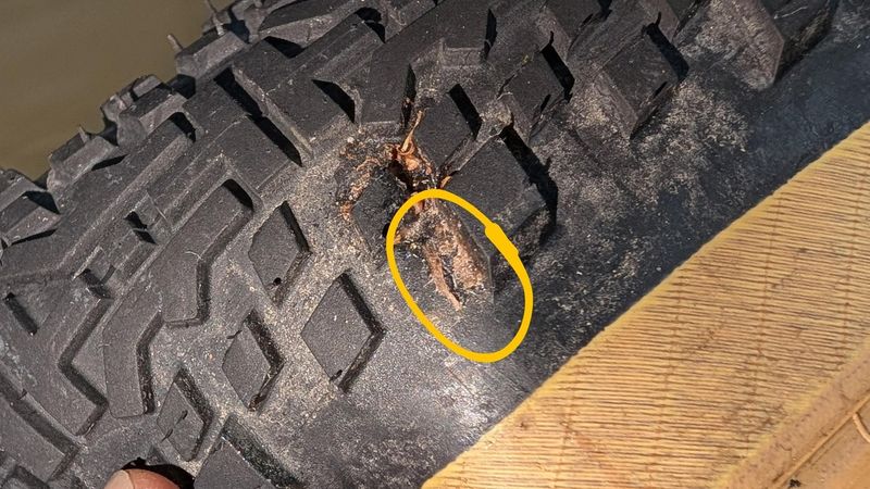 貫通部分はサイドではなかった