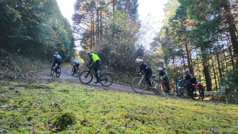 後半は登りまくりのエクストラコース