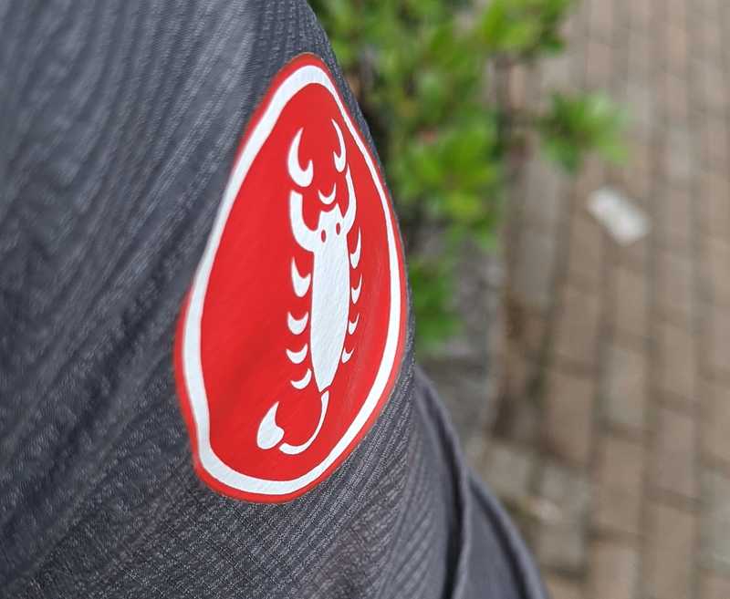 記事カバー画像